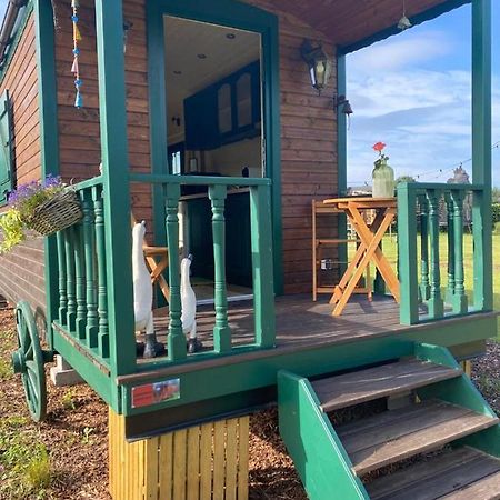 Pia B&B Babbita Hasselt Eksteriør billede