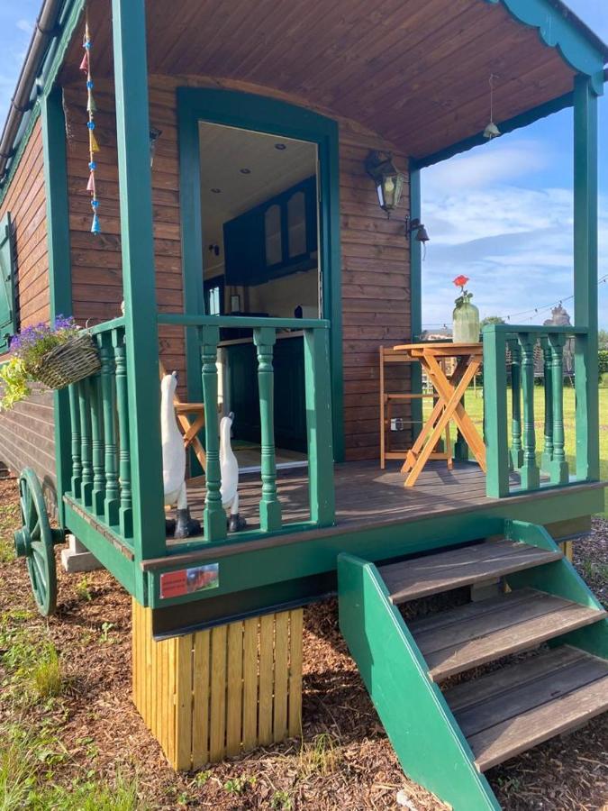 Pia B&B Babbita Hasselt Eksteriør billede